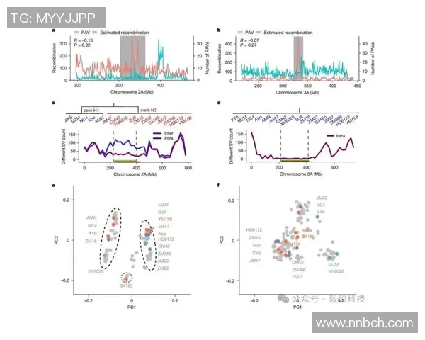 成都攀岩队节奏表现数据分析揭示训练效果与提升空间