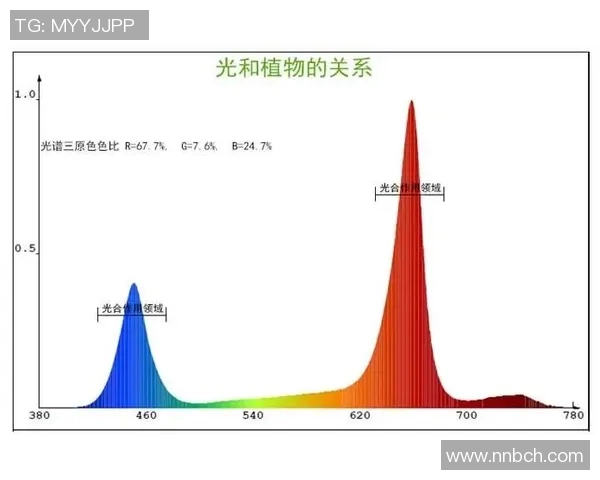 上海飞盘队整体压制战术解析及其在赛事中的优势表现
